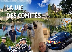 La vie des comités